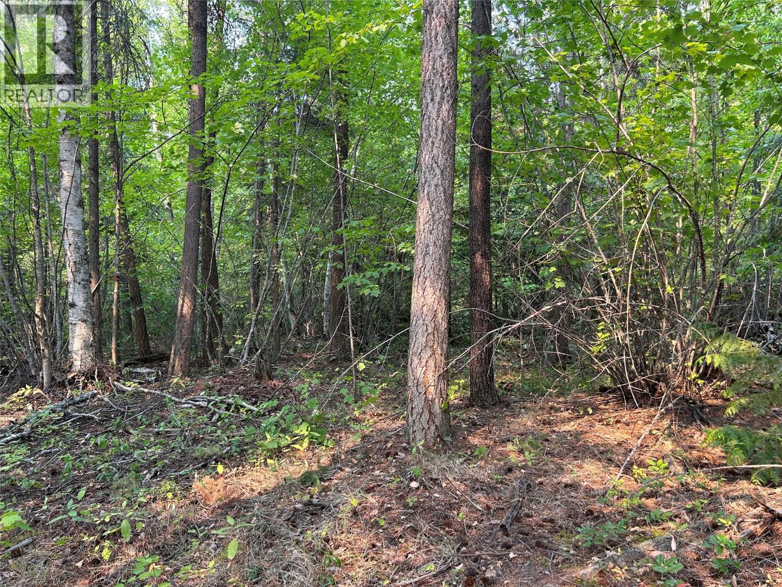 8568 Black Mountain Road, Chase, British Columbia  V0E 1M0 - Photo 12 - 10396942