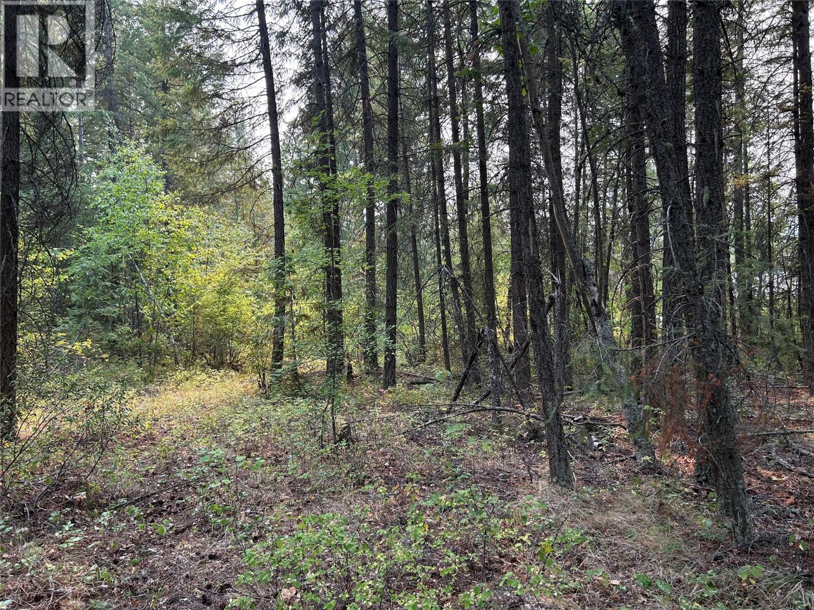 8568 Black Mountain Road, Chase, British Columbia  V0E 1M0 - Photo 13 - 10396942
