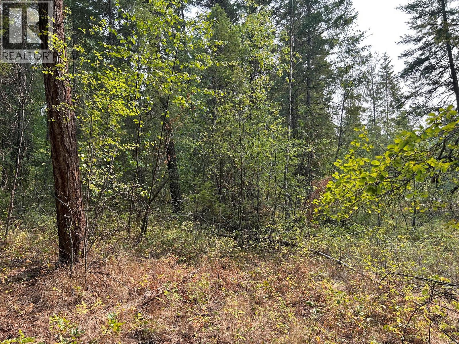8568 Black Mountain Road, Chase, British Columbia  V0E 1M0 - Photo 14 - 10396942