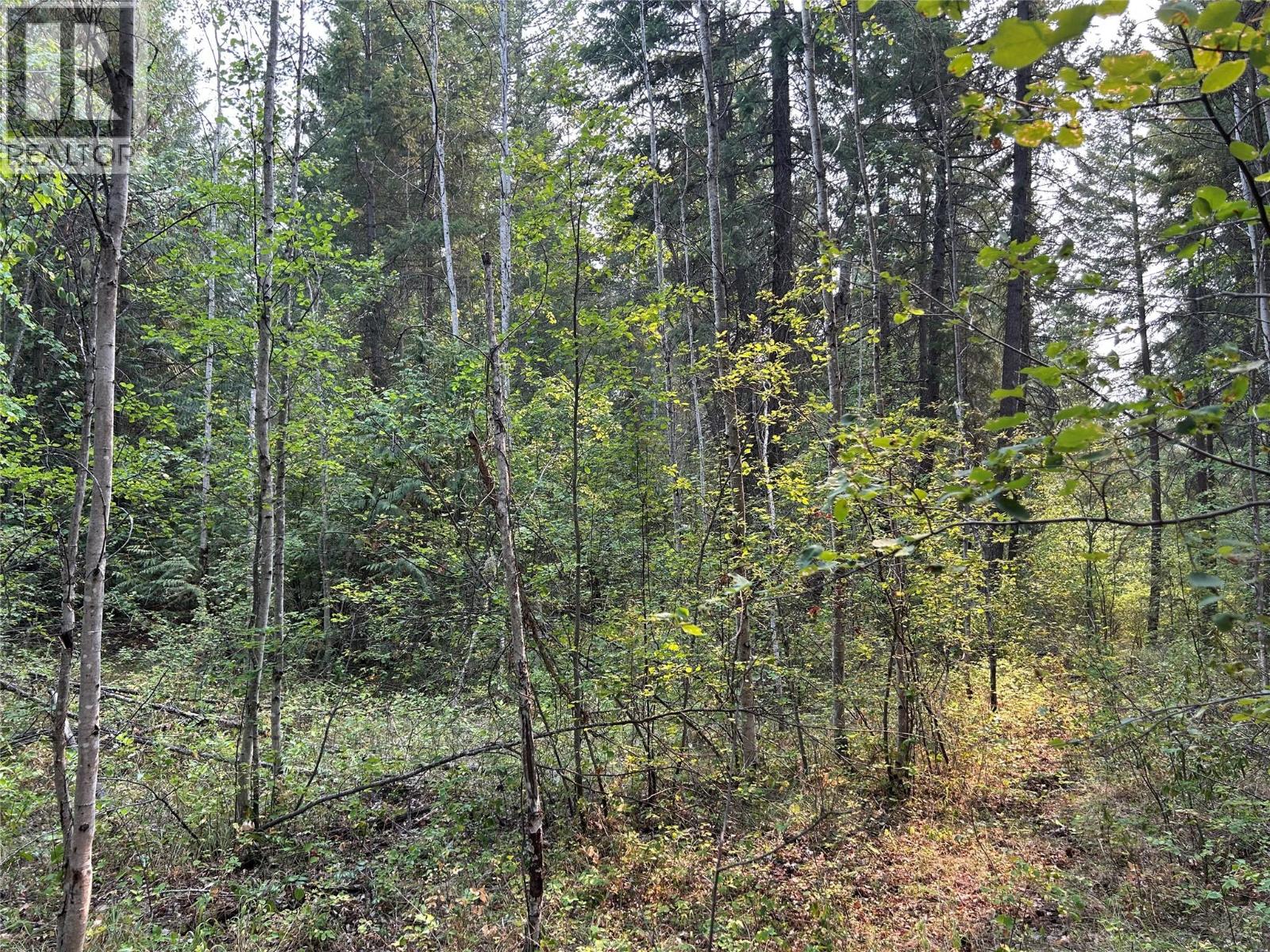 8568 Black Mountain Road, Chase, British Columbia  V0E 1M0 - Photo 15 - 10396942