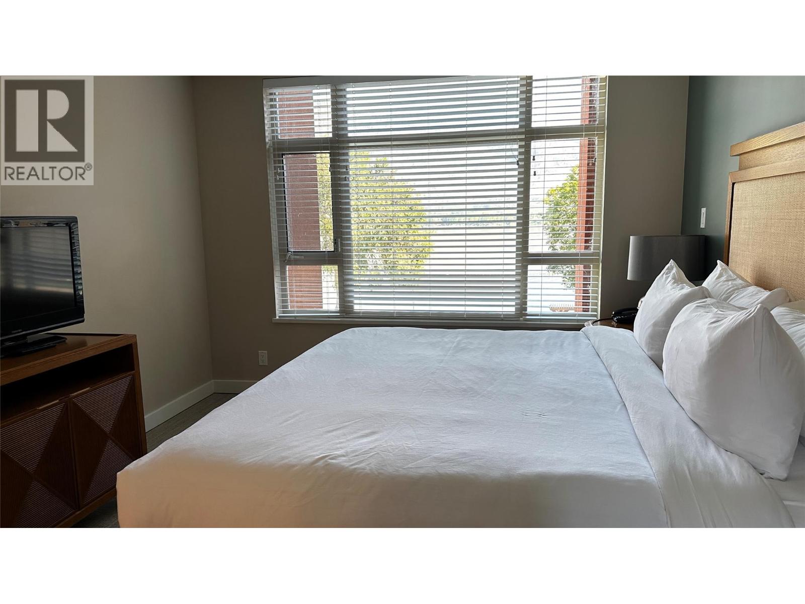 15 Park Place Unit# 335, Osoyoos, British Columbia  V0H 1V0 - Photo 6 - 10397351