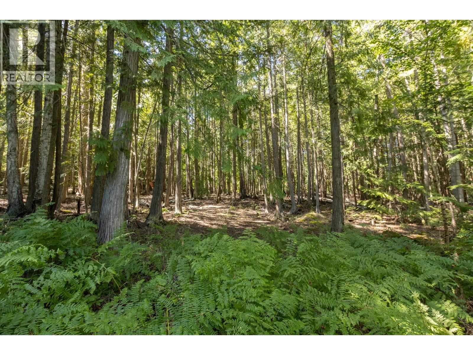 6061 40 Street Nw, Salmon Arm, British Columbia  V1E 4M2 - Photo 31 - 10396891
