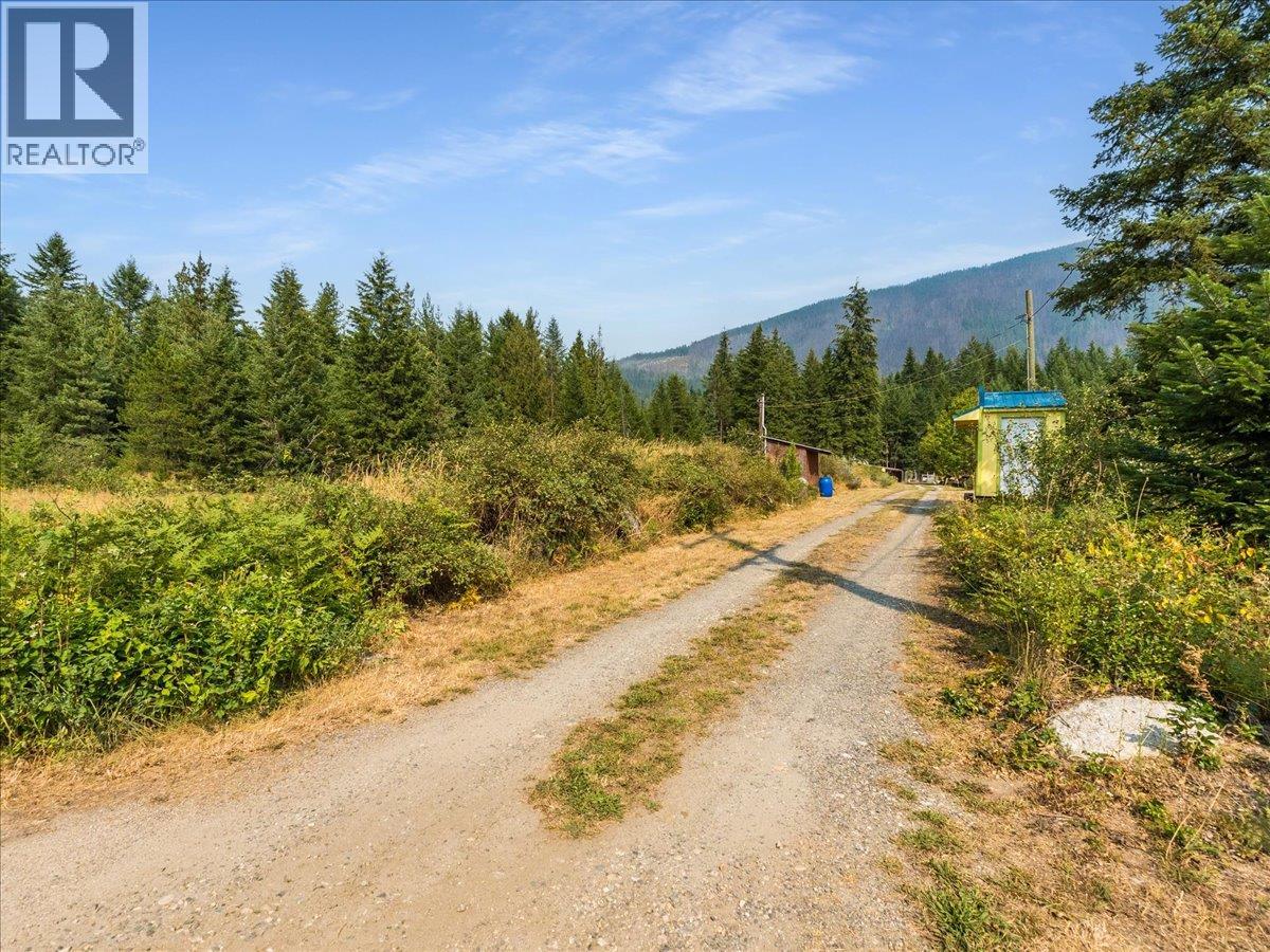 8864 Slocan  S Road, Slocan, British Columbia  V0G 2C0 - Photo 31 - 10397378