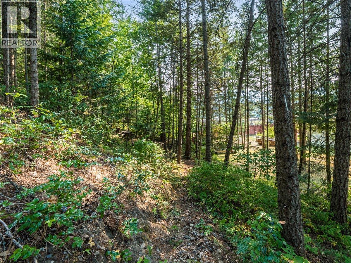 8864 Slocan  S Road, Slocan, British Columbia  V0G 2C0 - Photo 60 - 10397378