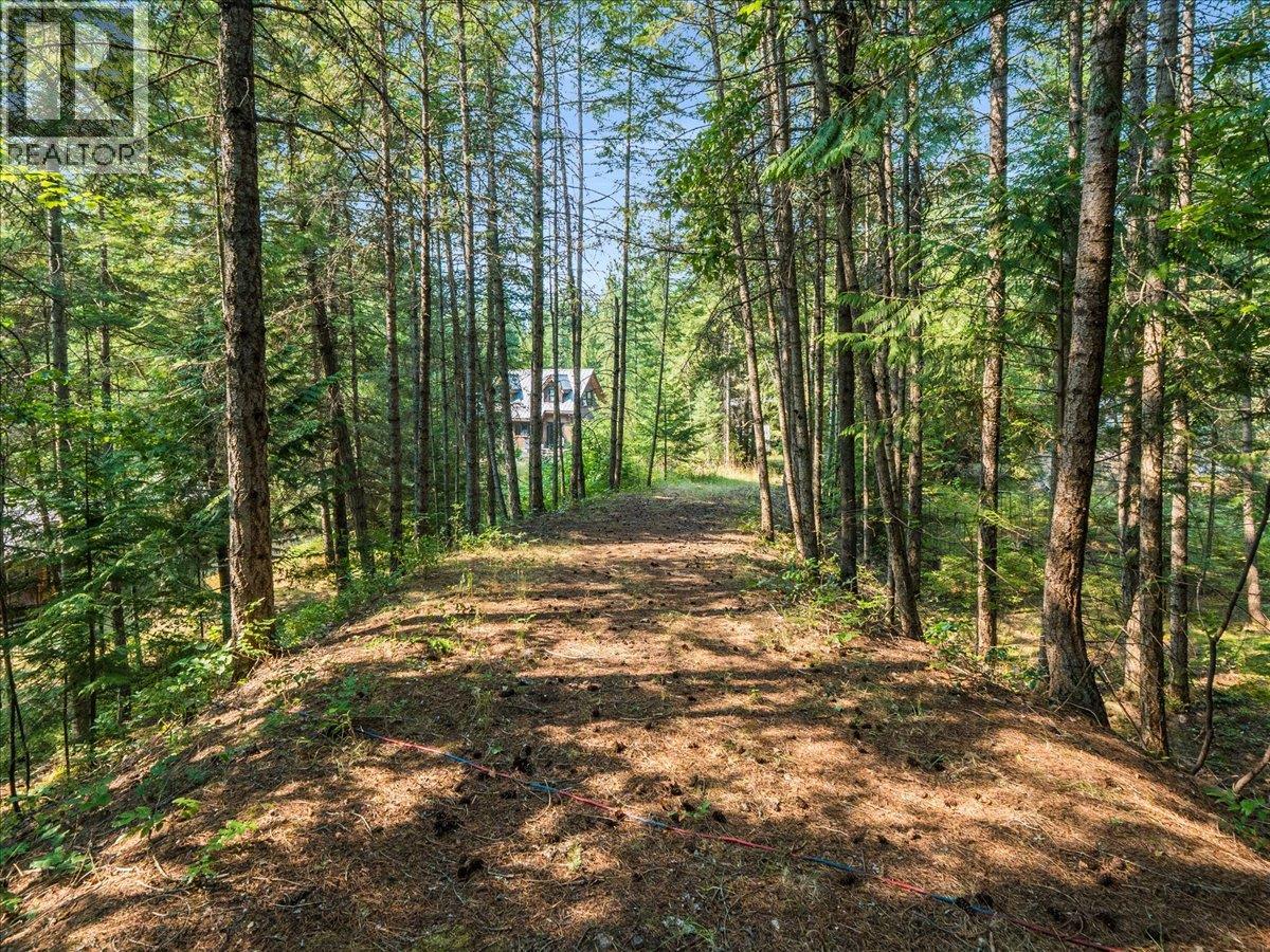 8864 Slocan  S Road, Slocan, British Columbia  V0G 2C0 - Photo 61 - 10397378