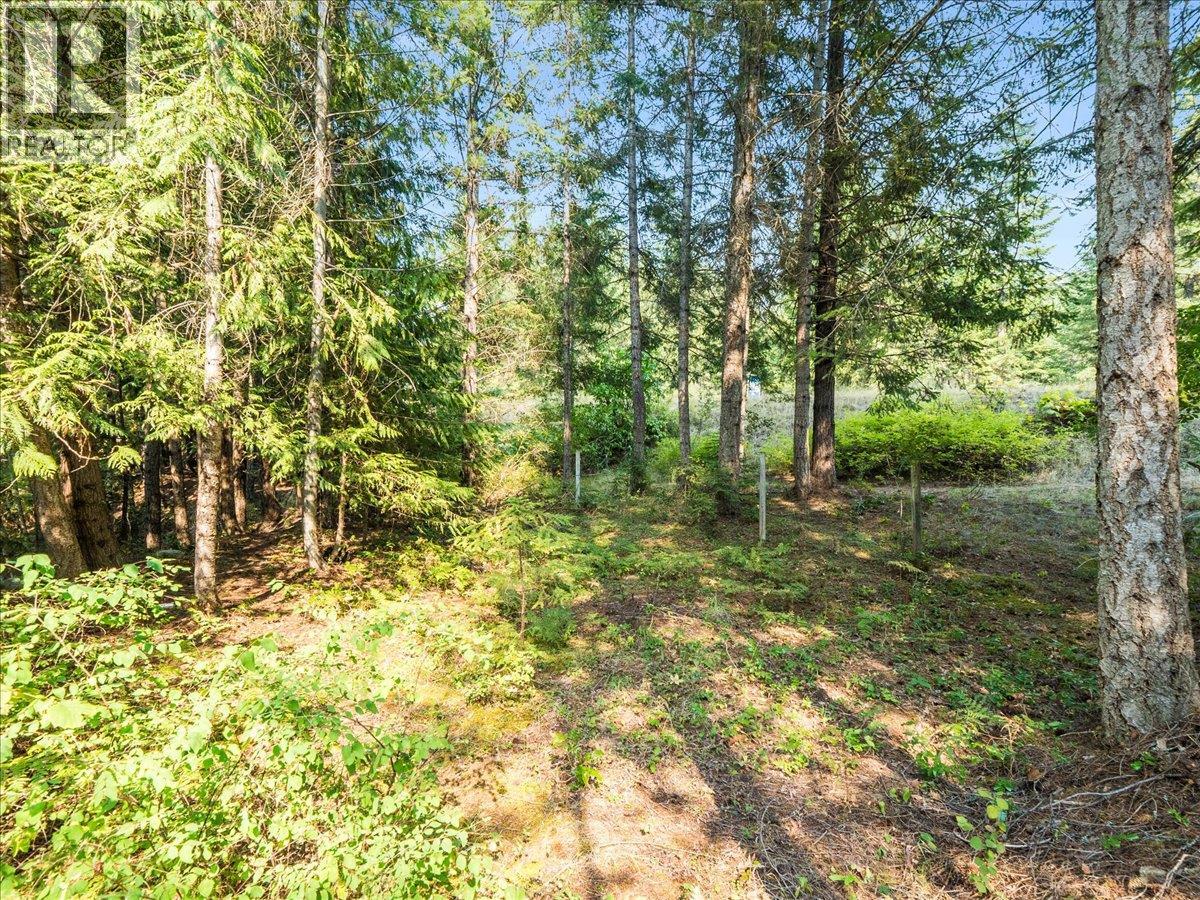 8864 Slocan  S Road, Slocan, British Columbia  V0G 2C0 - Photo 62 - 10397378
