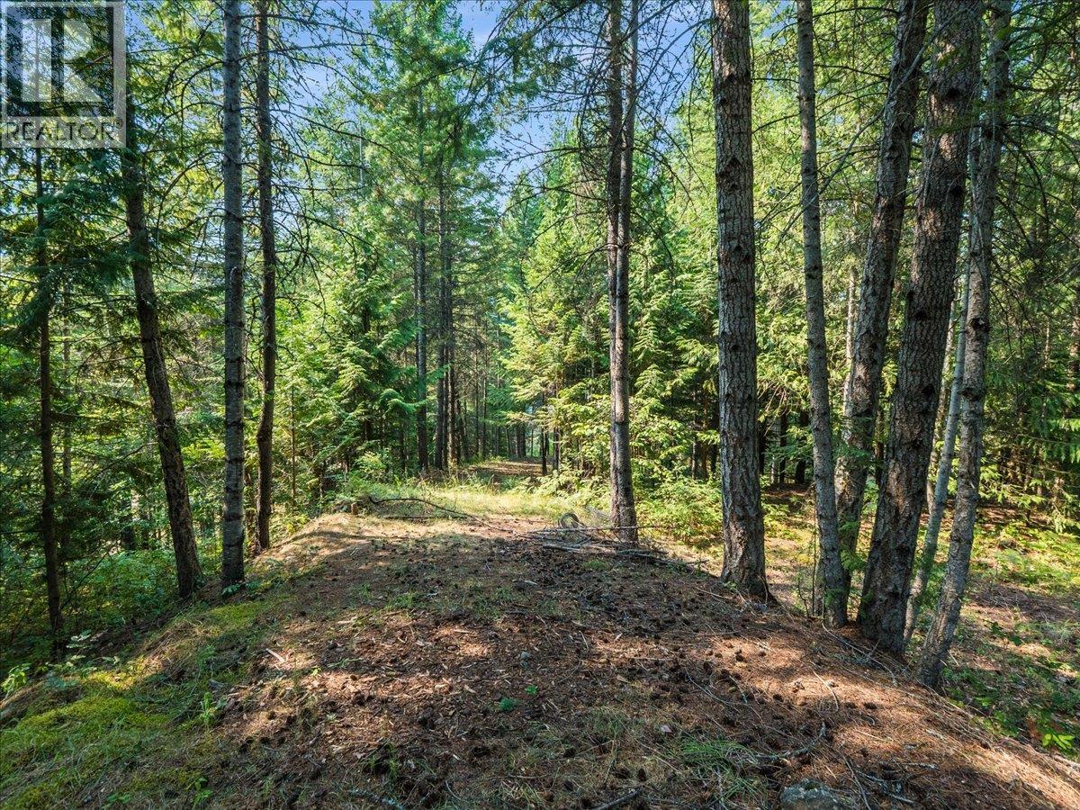 8864 Slocan  S Road, Slocan, British Columbia  V0G 2C0 - Photo 63 - 10397378