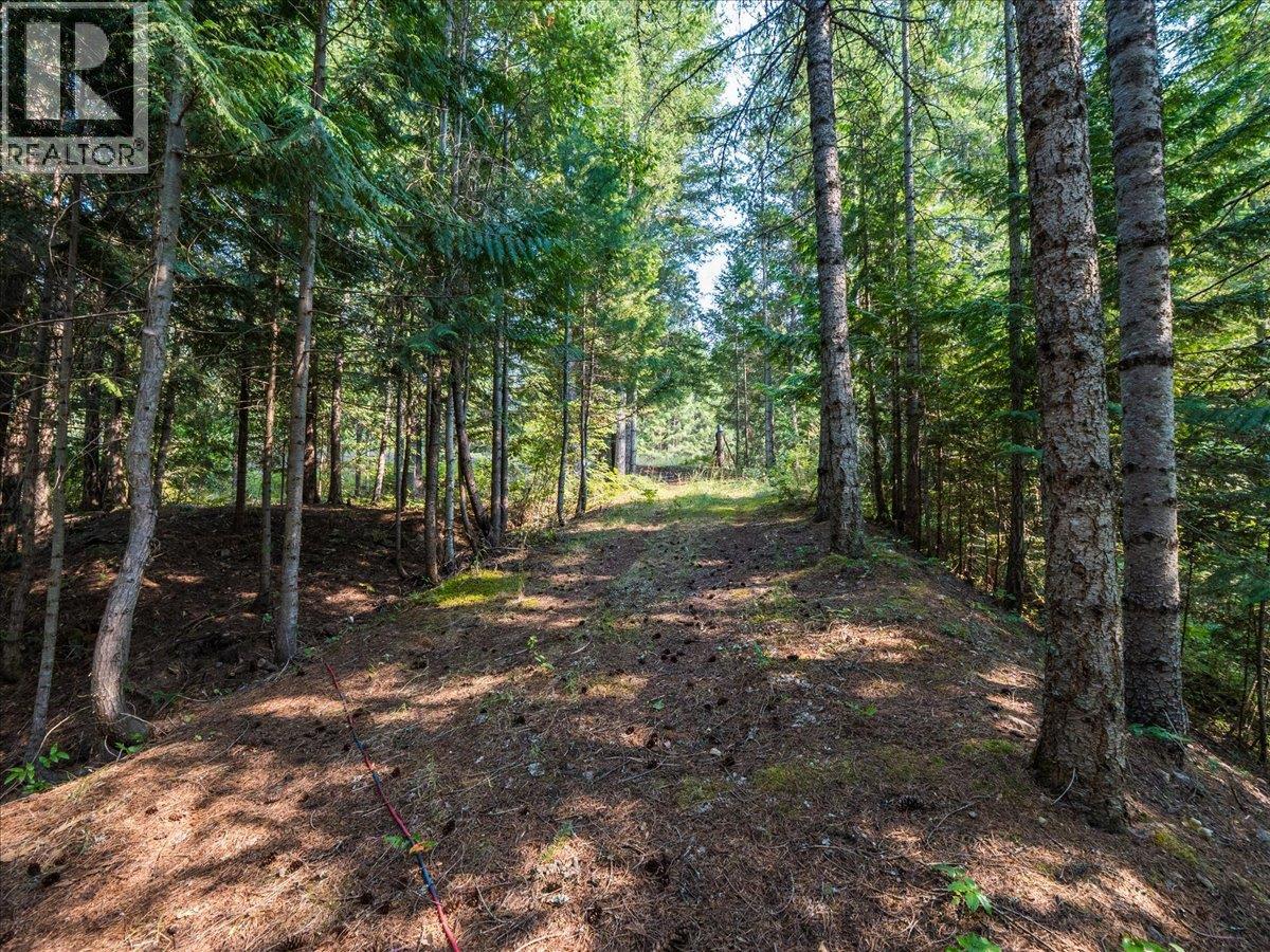 8864 Slocan  S Road, Slocan, British Columbia  V0G 2C0 - Photo 65 - 10397378