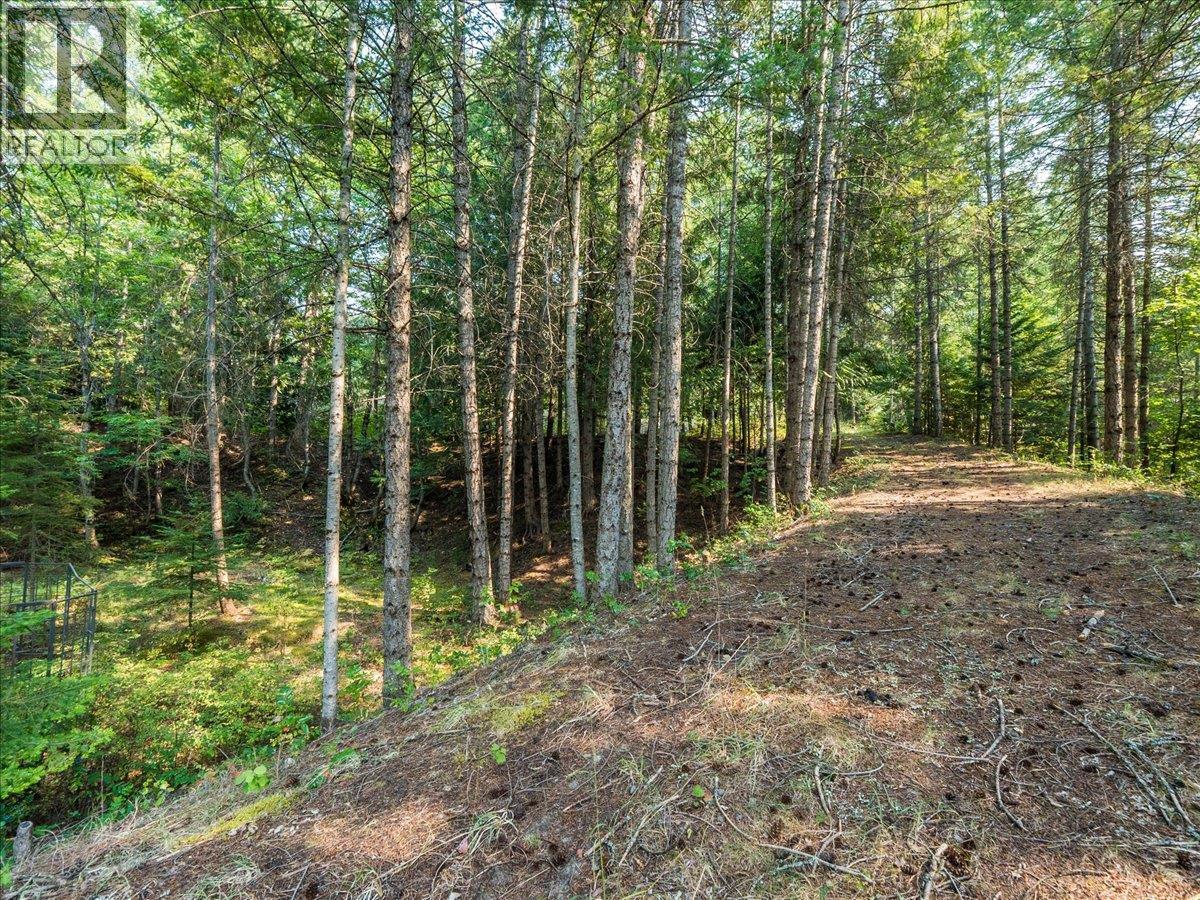 8864 Slocan  S Road, Slocan, British Columbia  V0G 2C0 - Photo 66 - 10397378