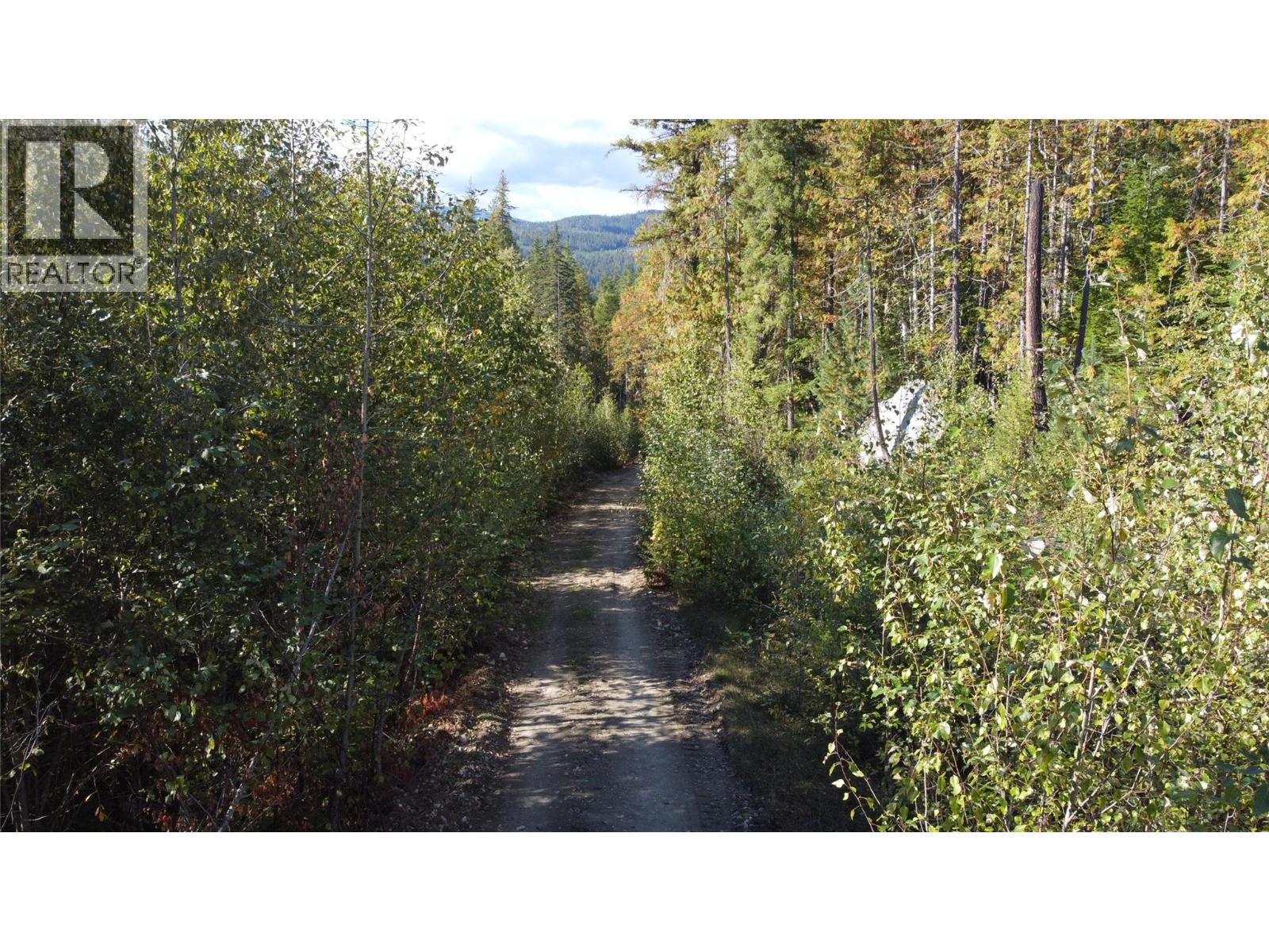 Lot A & Lot 6 Anstey Arm, Sicamous, British Columbia  V0E 2V0 - Photo 24 - 10397486