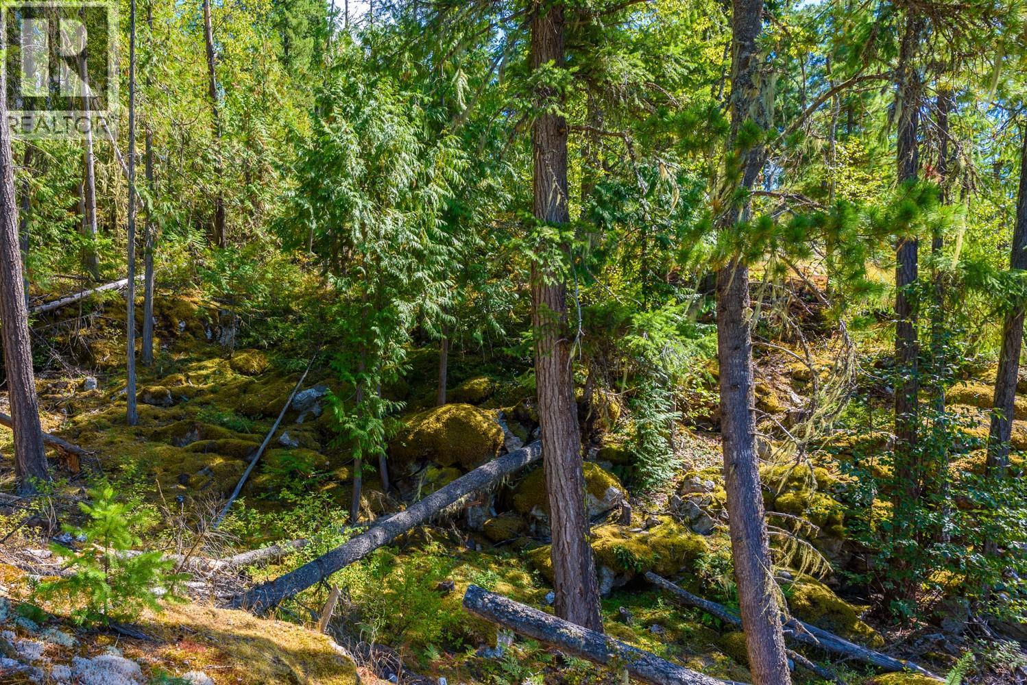 Lot A & Lot 6 Anstey Arm, Sicamous, British Columbia  V0E 2V0 - Photo 8 - 10397486