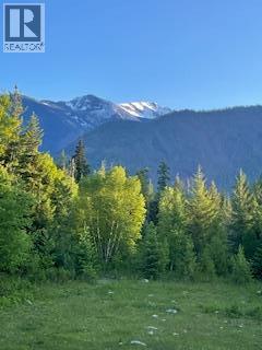 325 East Wilson Creek  E Road, Rosebery, British Columbia  V0G 1S1 - Photo 21 - 10397454