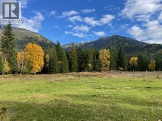 325 East Wilson Creek  E Road, Rosebery, British Columbia  V0G 1S1 - Photo 26 - 10397454