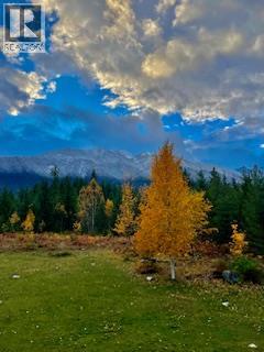 325 East Wilson Creek  E Road, Rosebery, British Columbia  V0G 1S1 - Photo 27 - 10397454