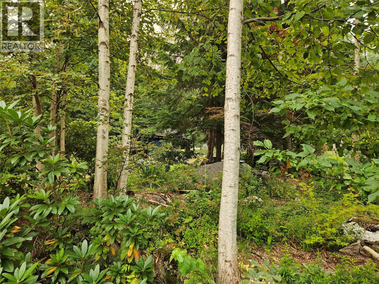 325 East Wilson Creek  E Road, Rosebery, British Columbia  V0G 1S1 - Photo 30 - 10397454