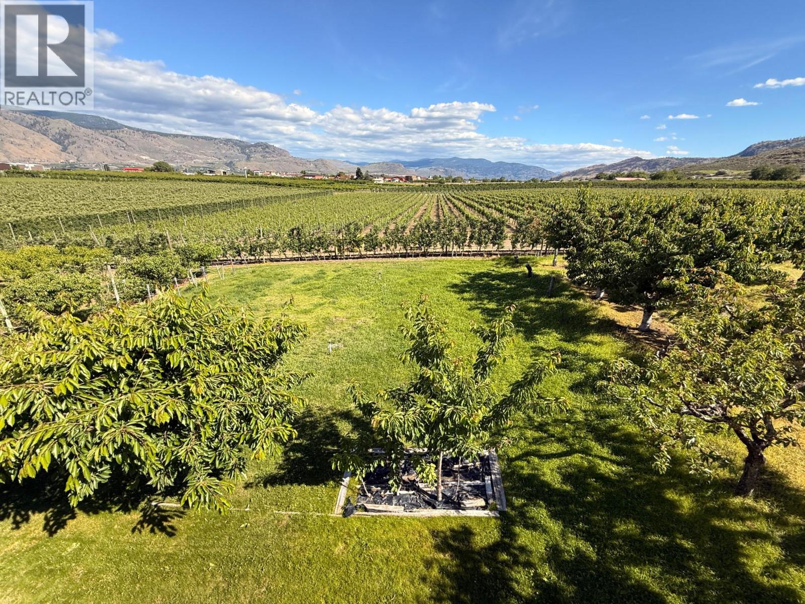 10501 100th Avenue, Osoyoos, British Columbia  V0H 1V2 - Photo 53 - 10397526