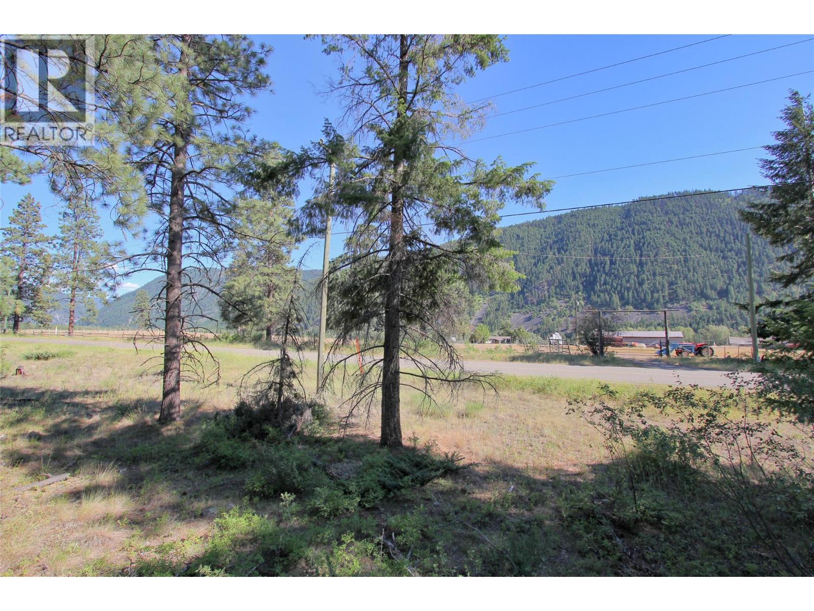 Lot 1 Old Hedley Road, Princeton, British Columbia  V0X 1W0 - Photo 14 - 10397641