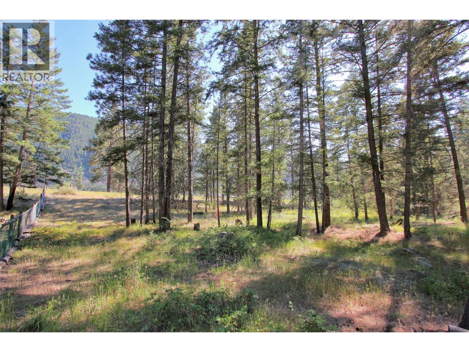 Lot 1 Old Hedley Road, Princeton, British Columbia  V0X 1W0 - Photo 15 - 10397641