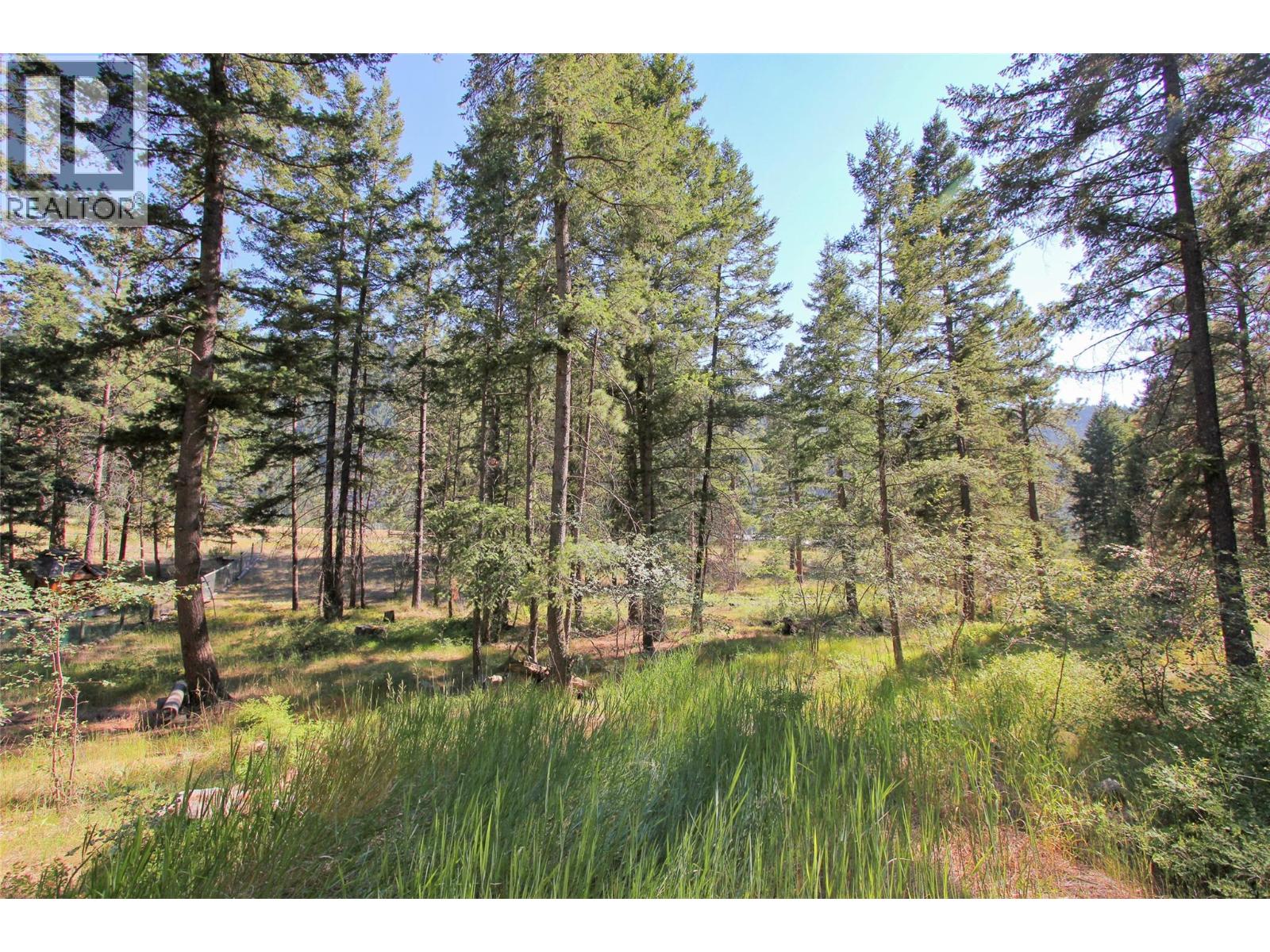Lot 1 Old Hedley Road, Princeton, British Columbia  V0X 1W0 - Photo 16 - 10397641