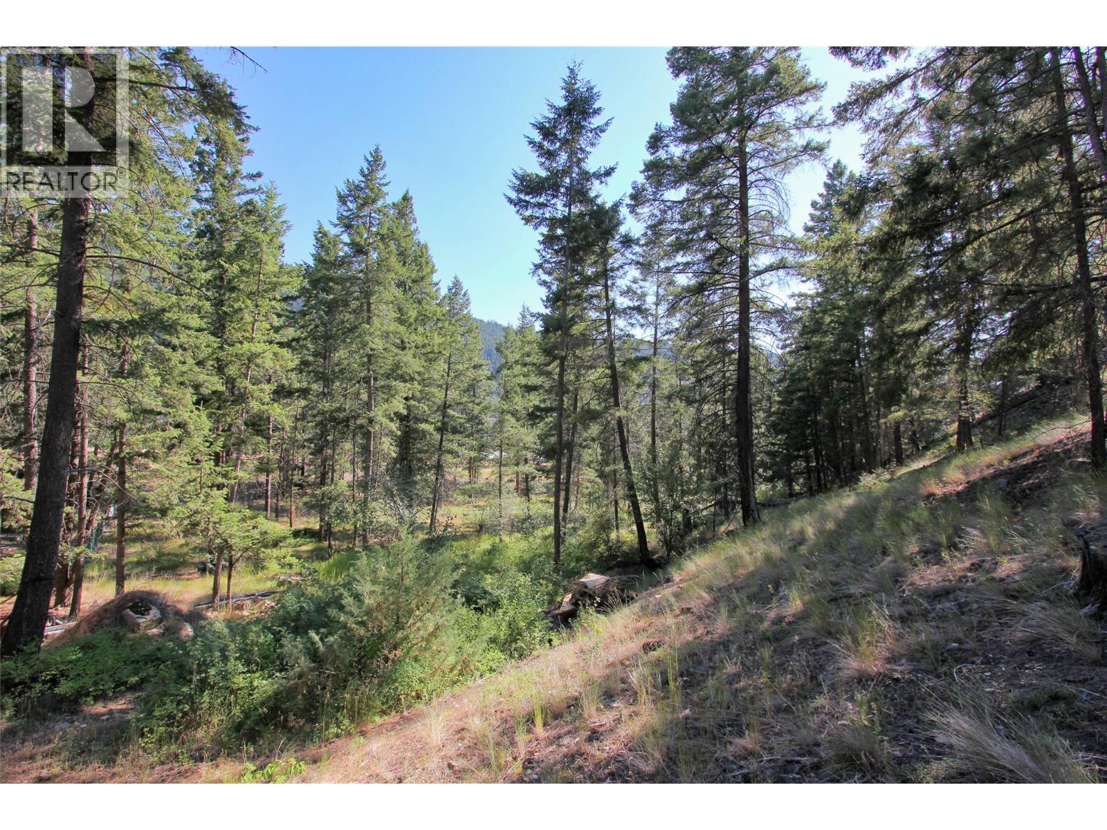Lot 1 Old Hedley Road, Princeton, British Columbia  V0X 1W0 - Photo 17 - 10397641