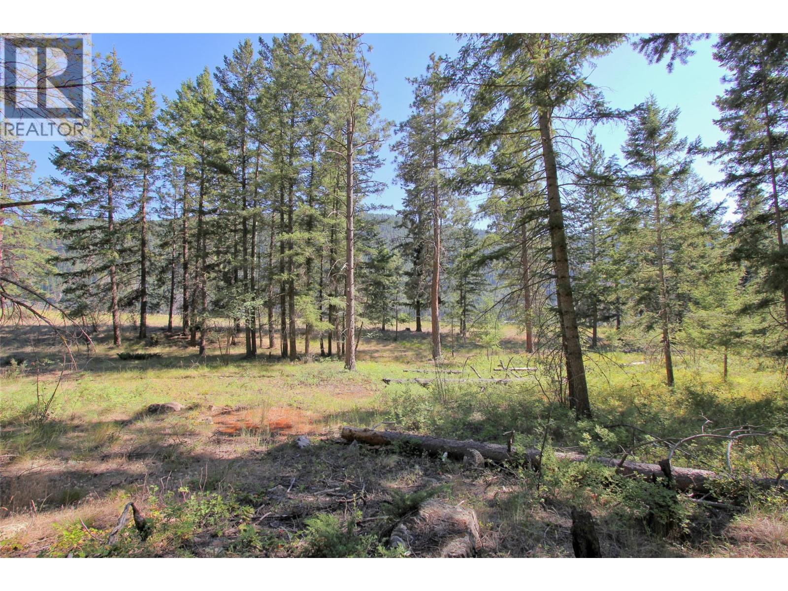 Lot 1 Old Hedley Road, Princeton, British Columbia  V0X 1W0 - Photo 18 - 10397641
