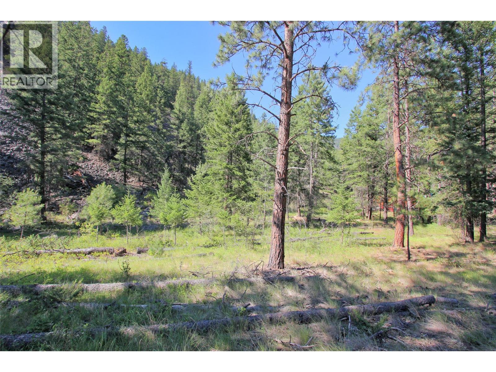 Lot 1 Old Hedley Road, Princeton, British Columbia  V0X 1W0 - Photo 19 - 10397641