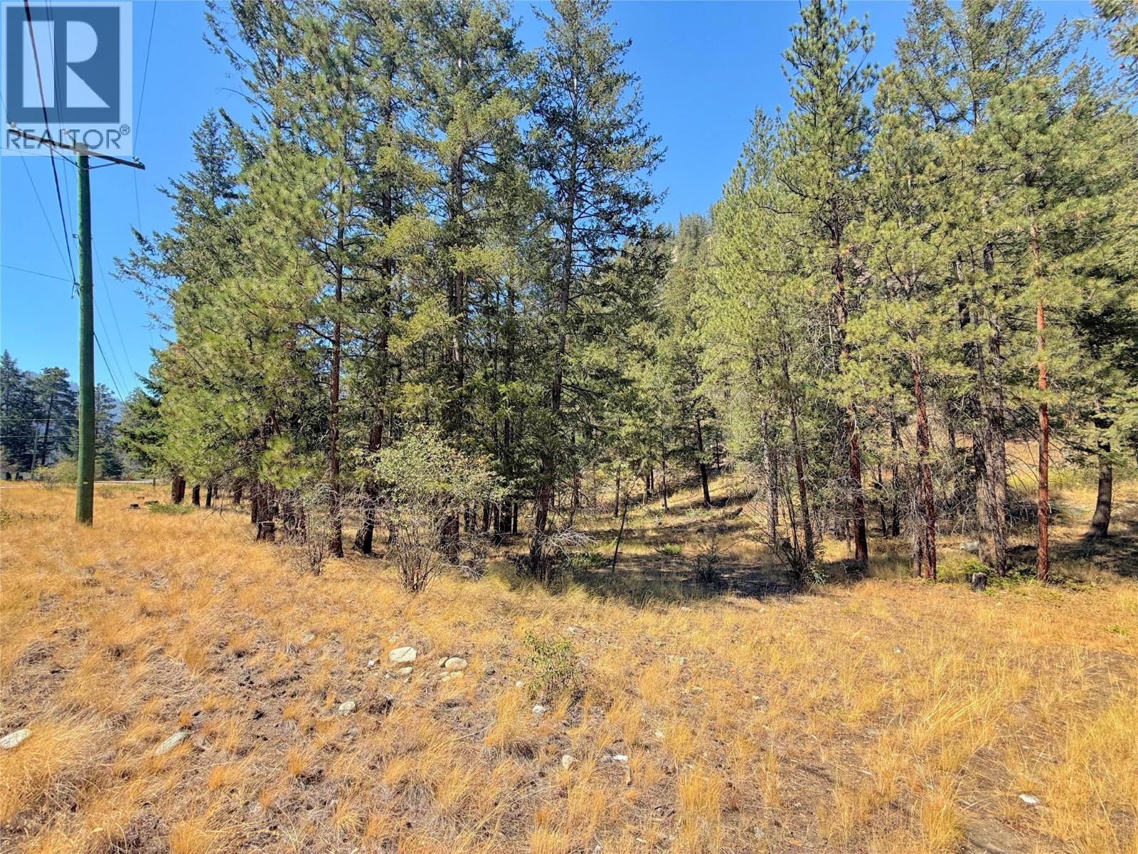 Lot 1 Old Hedley Road, Princeton, British Columbia  V0X 1W0 - Photo 2 - 10397641