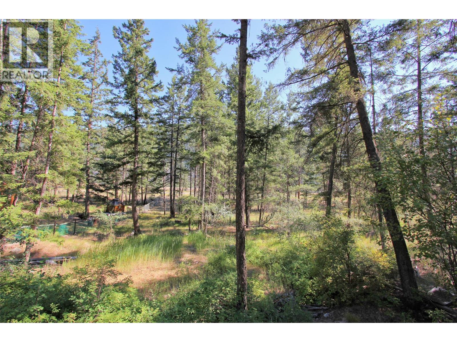 Lot 1 Old Hedley Road, Princeton, British Columbia  V0X 1W0 - Photo 20 - 10397641
