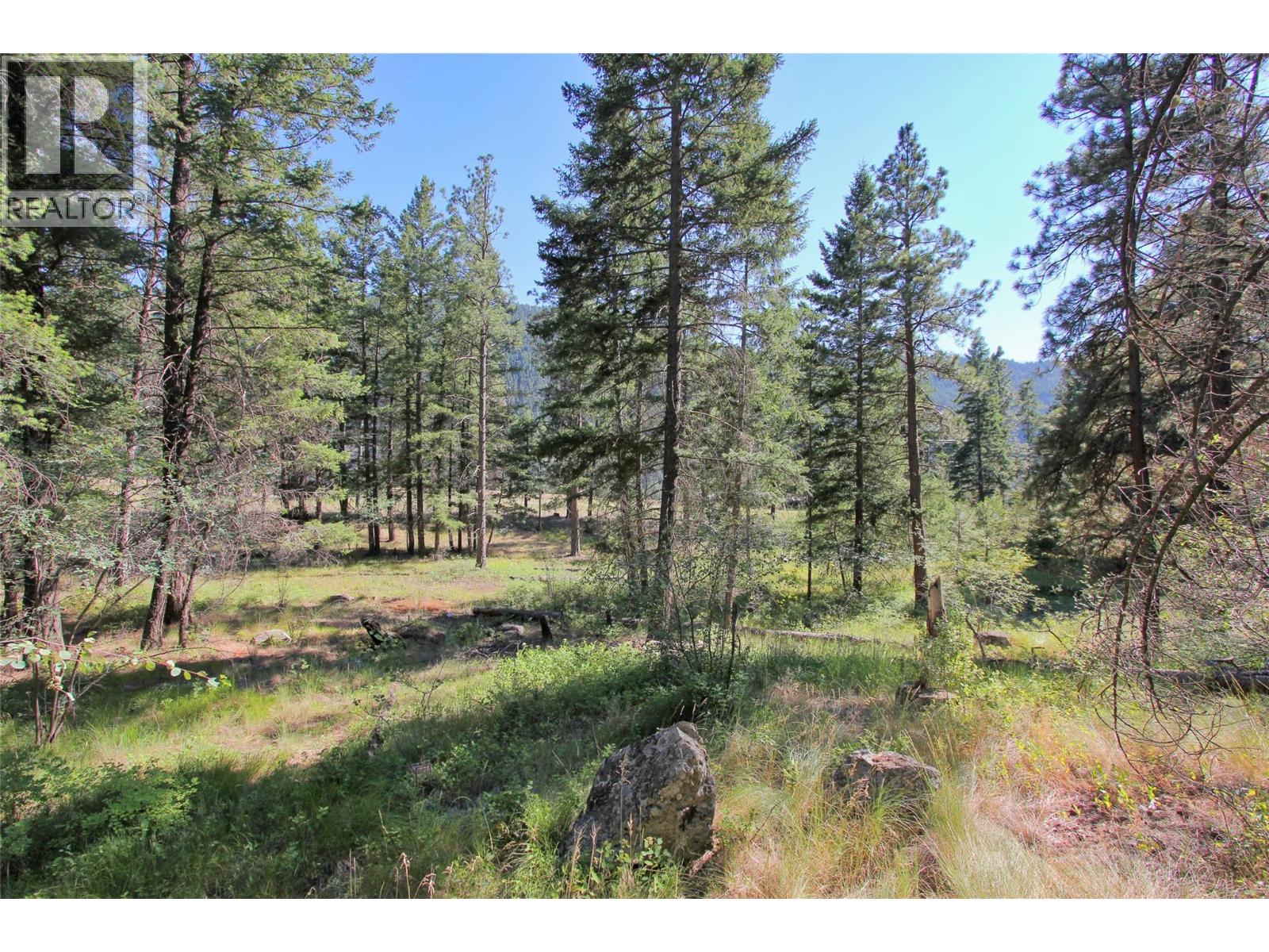 Lot 1 Old Hedley Road, Princeton, British Columbia  V0X 1W0 - Photo 21 - 10397641