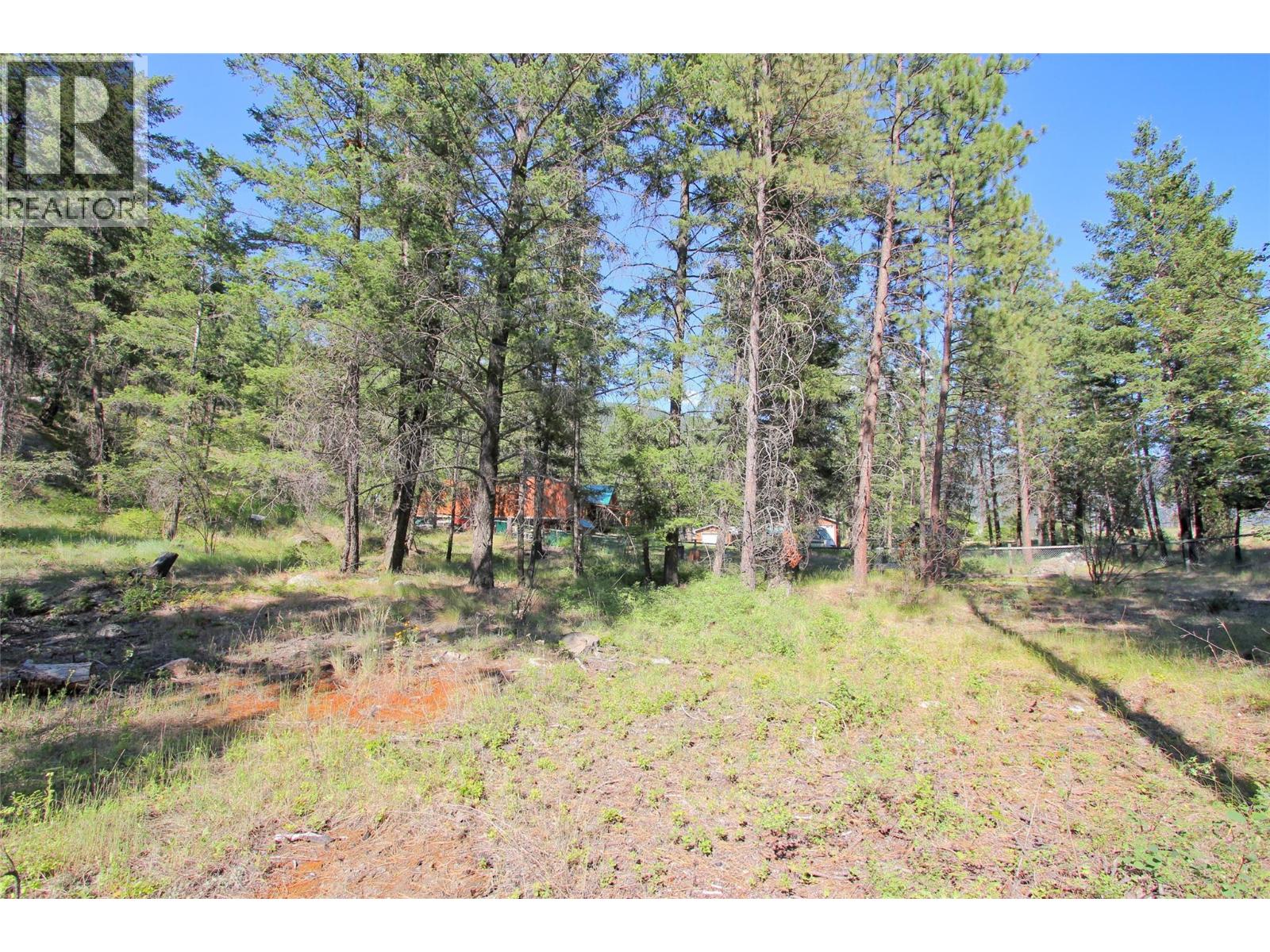 Lot 1 Old Hedley Road, Princeton, British Columbia  V0X 1W0 - Photo 22 - 10397641