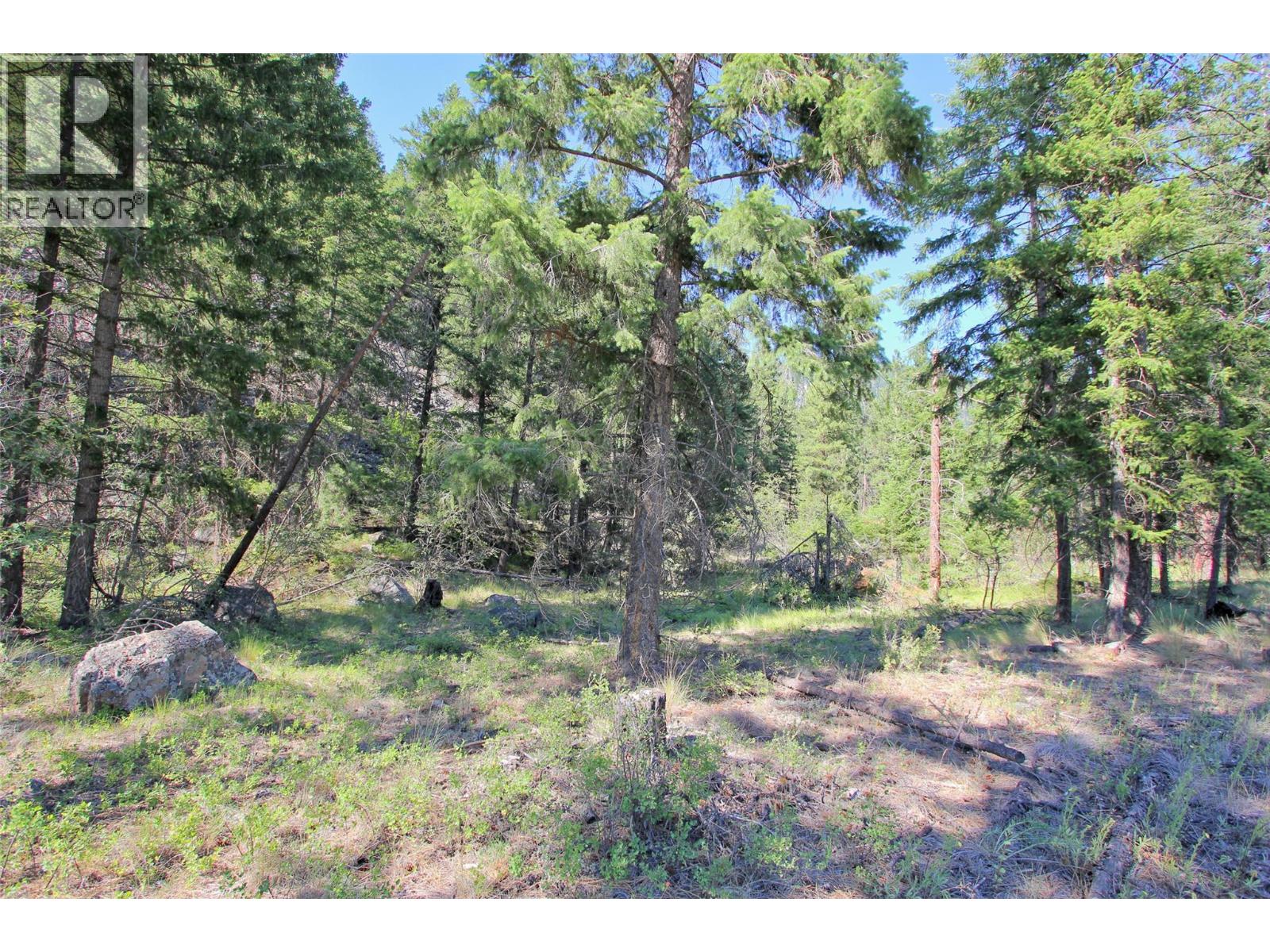 Lot 1 Old Hedley Road, Princeton, British Columbia  V0X 1W0 - Photo 23 - 10397641