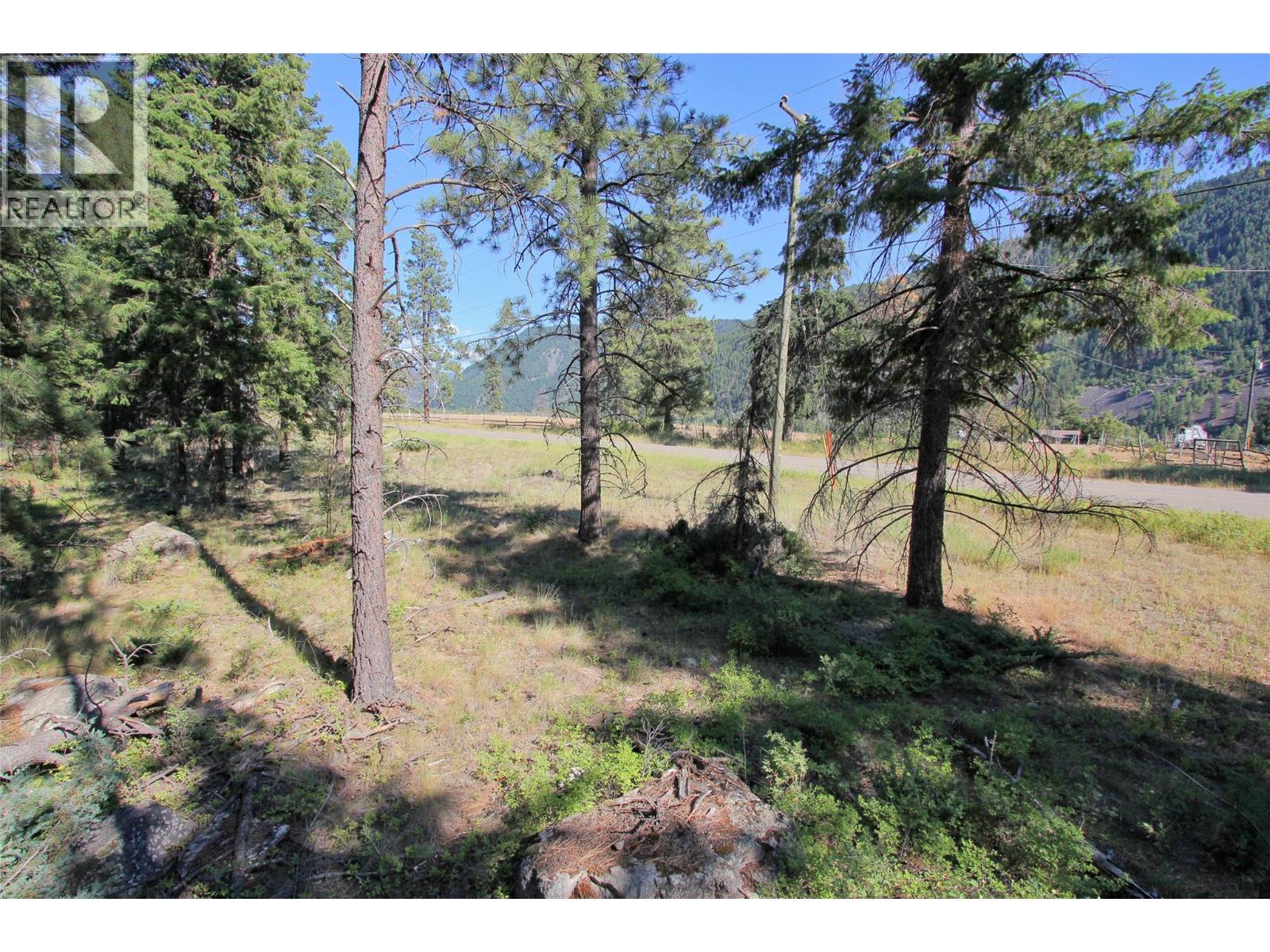 Lot 1 Old Hedley Road, Princeton, British Columbia  V0X 1W0 - Photo 24 - 10397641