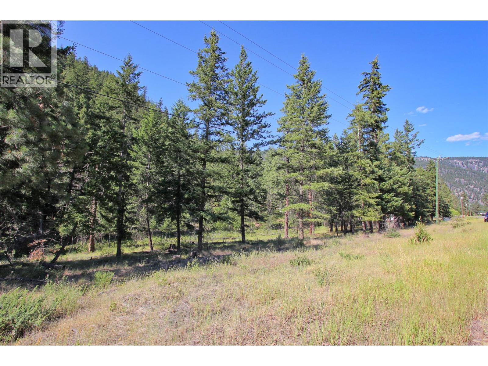 Lot 1 Old Hedley Road, Princeton, British Columbia  V0X 1W0 - Photo 25 - 10397641