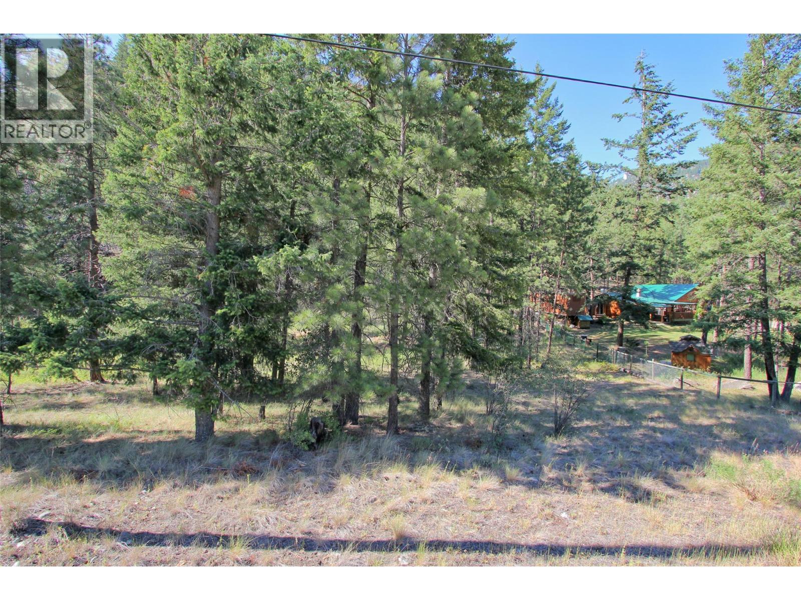 Lot 1 Old Hedley Road, Princeton, British Columbia  V0X 1W0 - Photo 26 - 10397641
