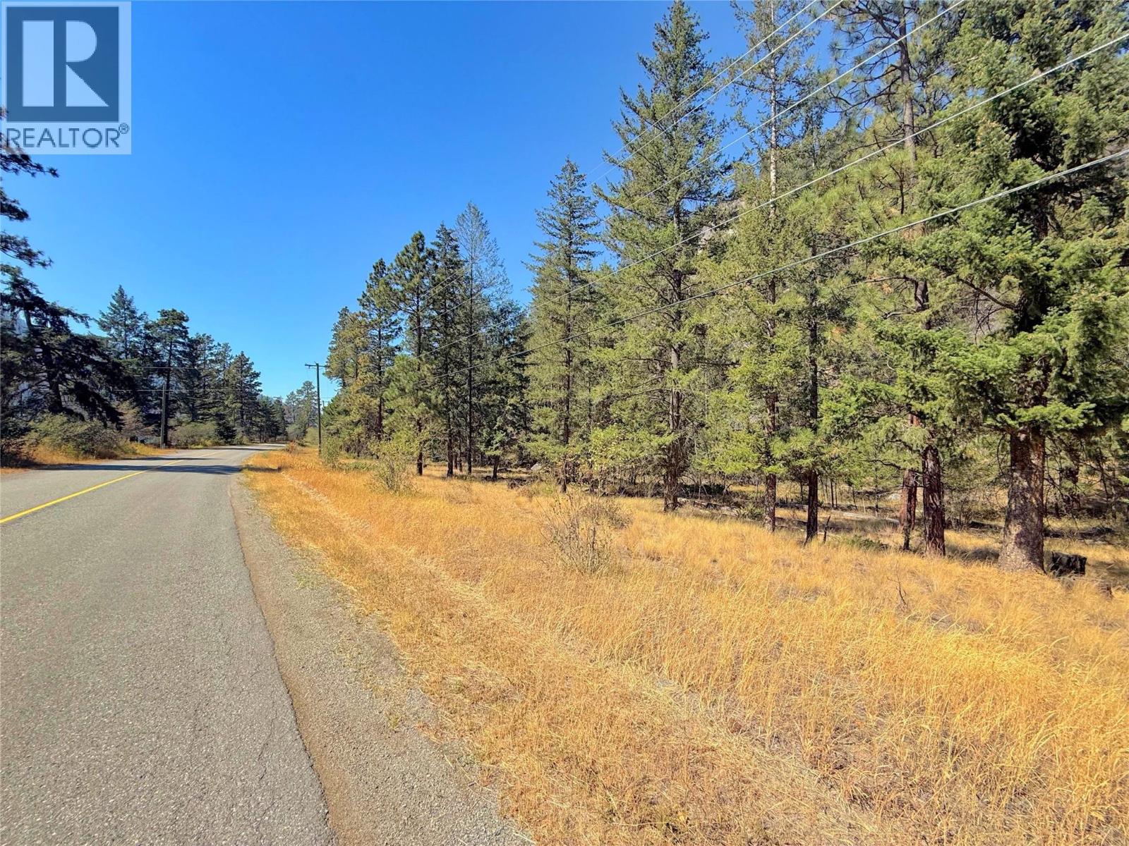 Lot 1 Old Hedley Road, Princeton, British Columbia  V0X 1W0 - Photo 3 - 10397641