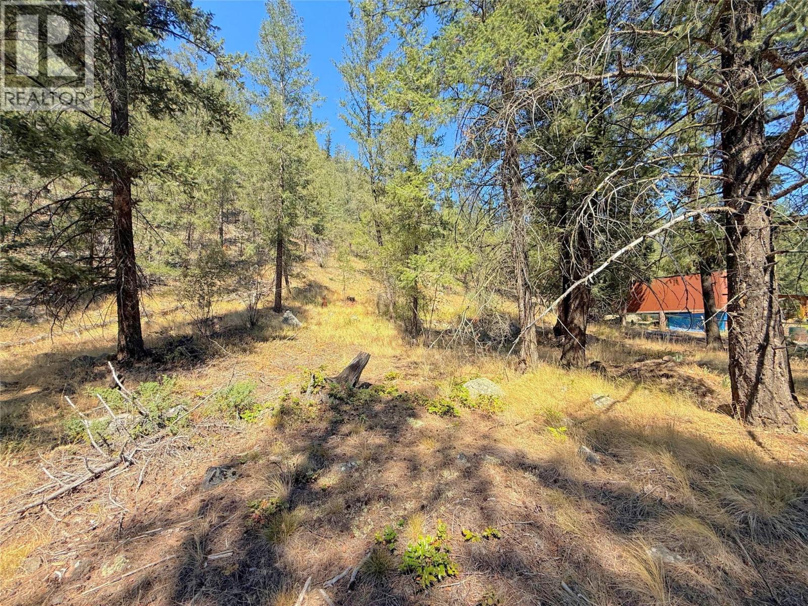 Lot 1 Old Hedley Road, Princeton, British Columbia  V0X 1W0 - Photo 4 - 10397641