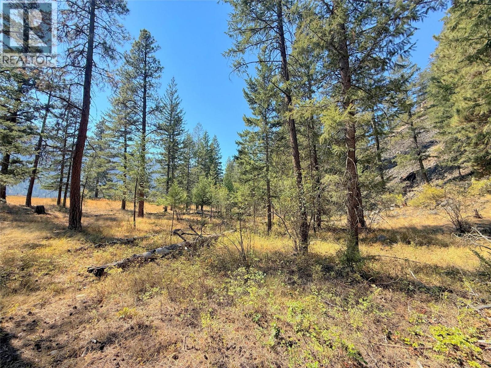 Lot 1 Old Hedley Road, Princeton, British Columbia  V0X 1W0 - Photo 5 - 10397641