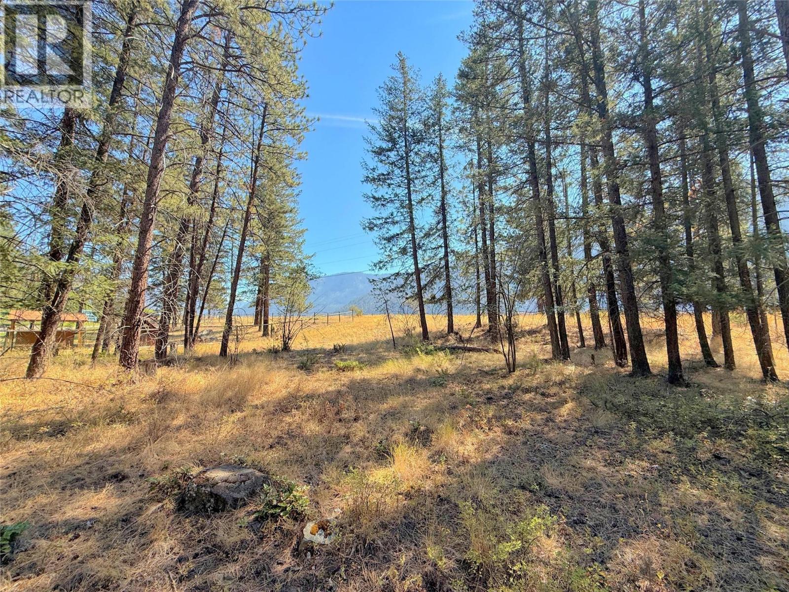Lot 1 Old Hedley Road, Princeton, British Columbia  V0X 1W0 - Photo 6 - 10397641