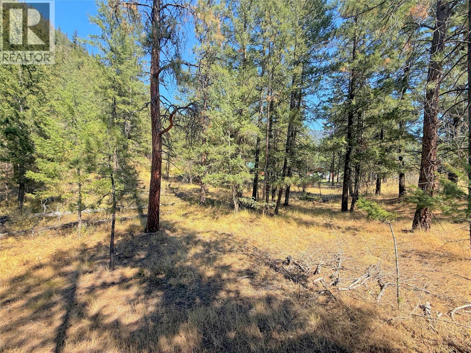 Lot 1 Old Hedley Road, Princeton, British Columbia  V0X 1W0 - Photo 8 - 10397641