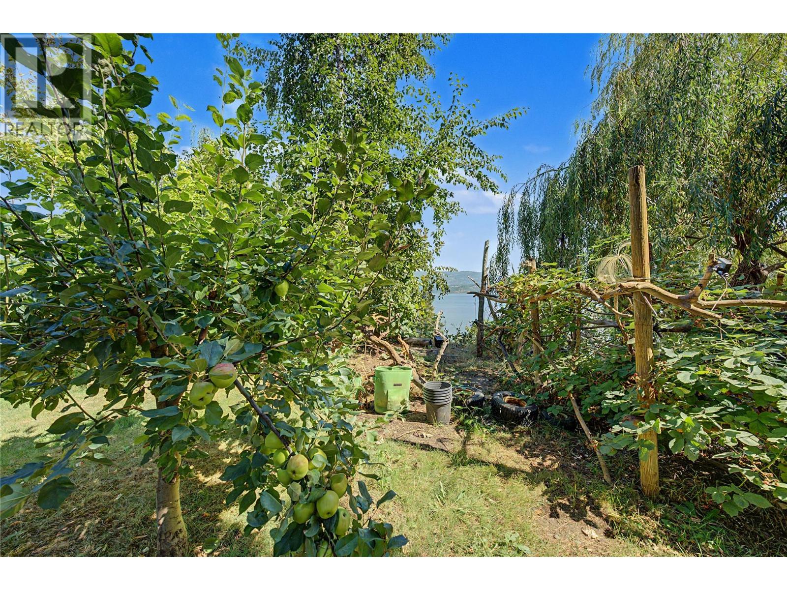 5255 Schneider Place, Tappen, British Columbia  V0E 2X3 - Photo 23 - 10397700