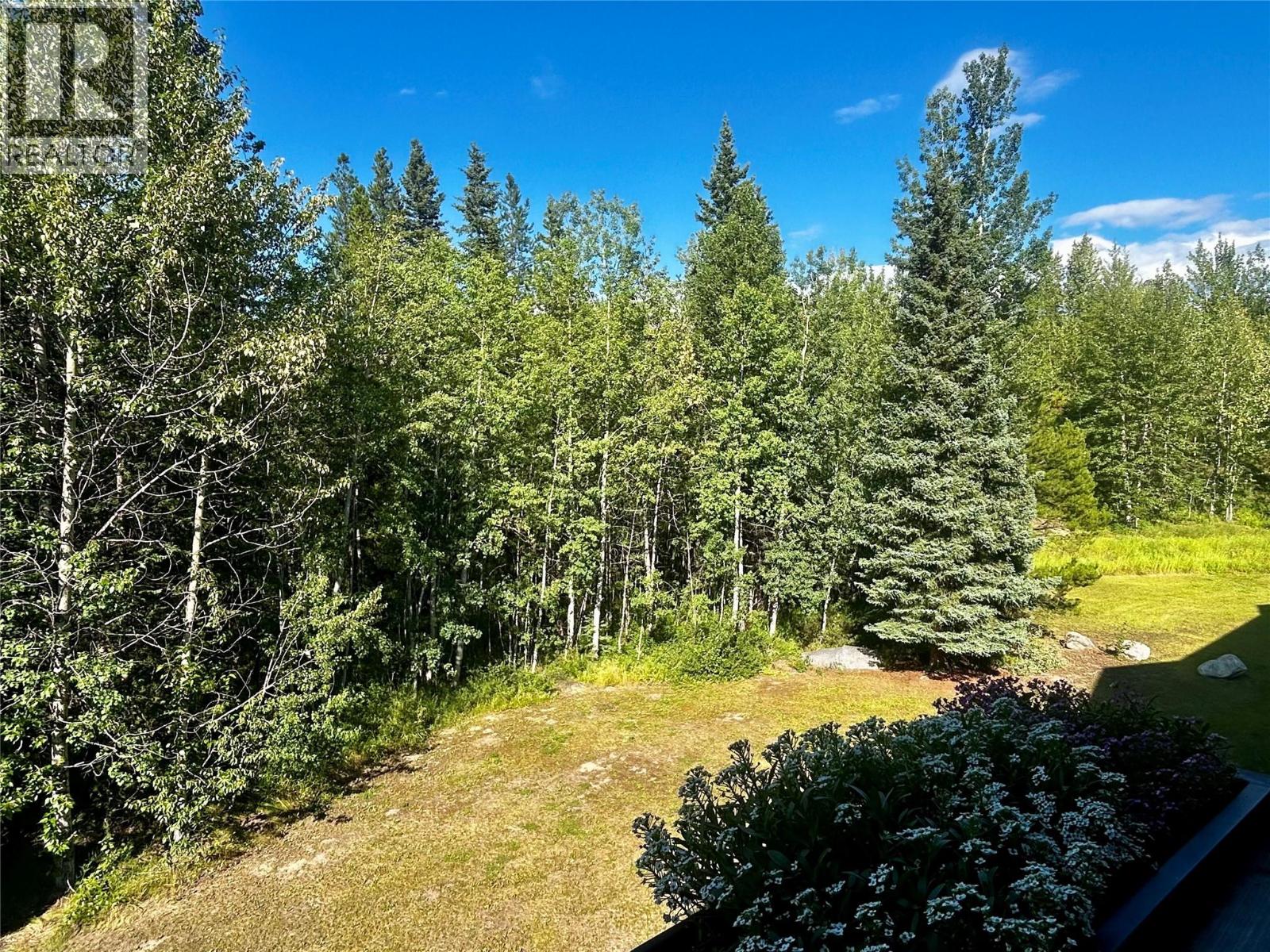 185 Chamberlain Crescent Unit# 309, Tumbler Ridge, British Columbia  V0C 2W0 - Photo 10 - 10397774
