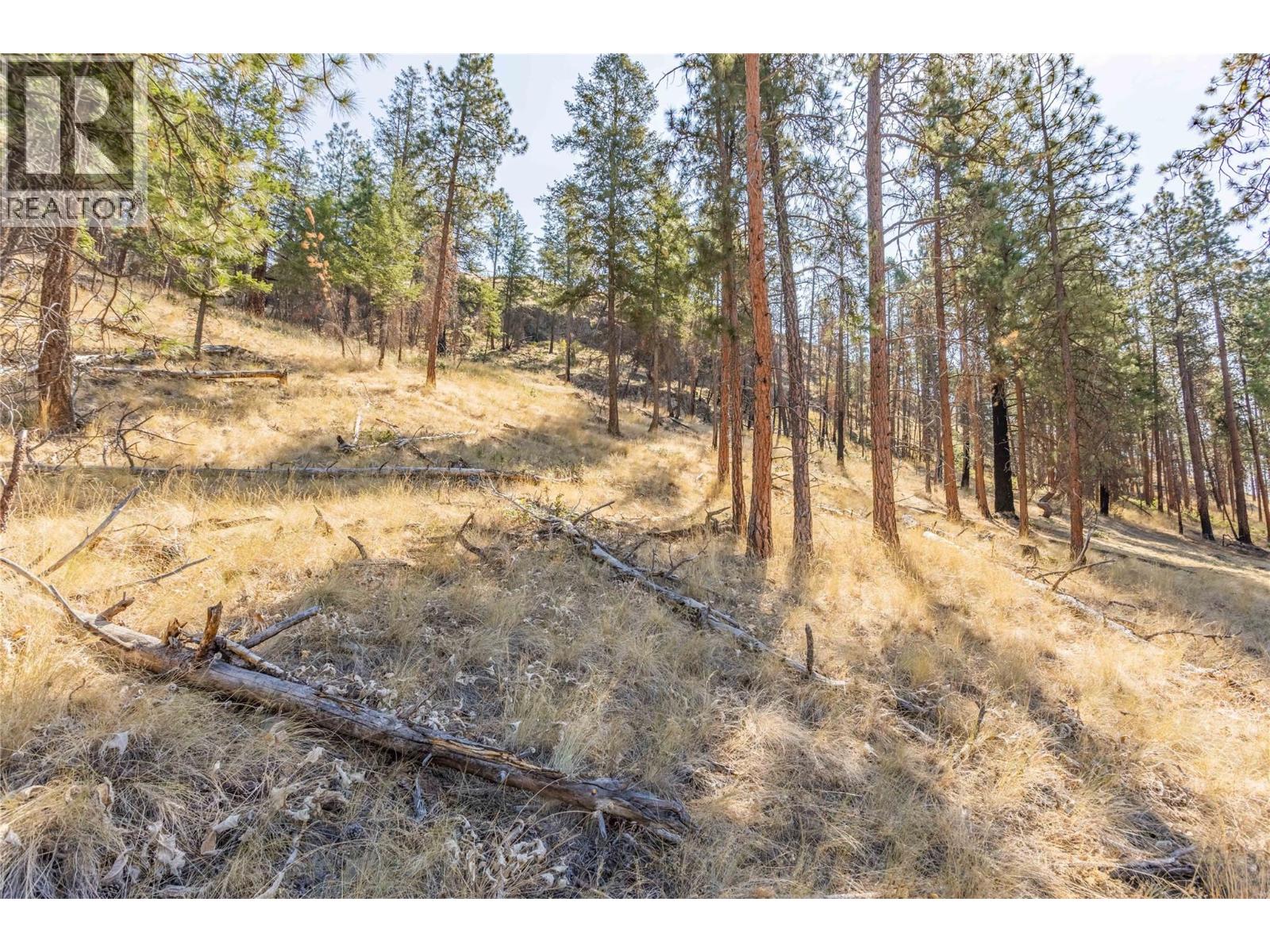 2393 Arthur Court, Kelowna, British Columbia  V1V 2S7 - Photo 36 - 10396685