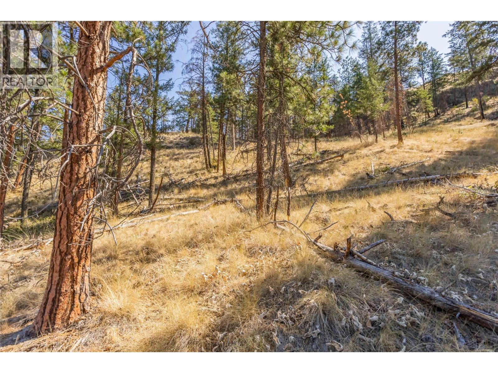 2393 Arthur Court, Kelowna, British Columbia  V1V 2S7 - Photo 37 - 10396685