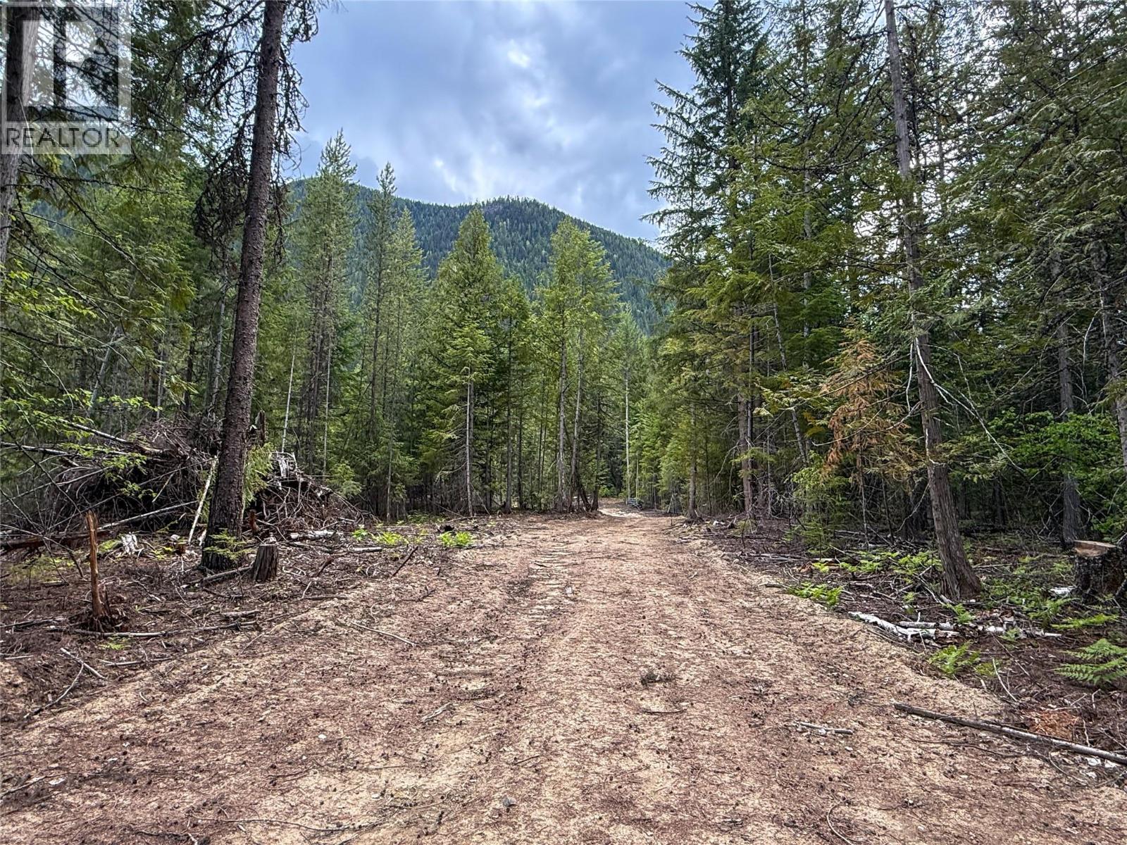 3945 Saunders Road, Passmore, British Columbia  V0G 2J0 - Photo 17 - 10395877
