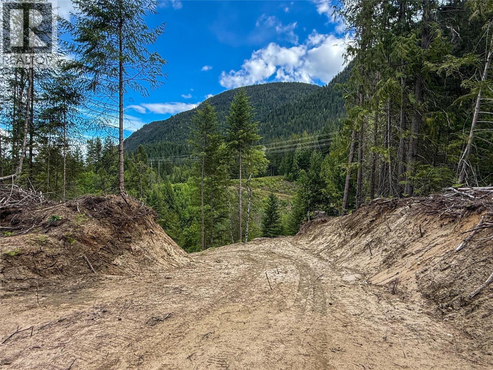 3945 Saunders Road, Passmore, British Columbia  V0G 2J0 - Photo 18 - 10395877