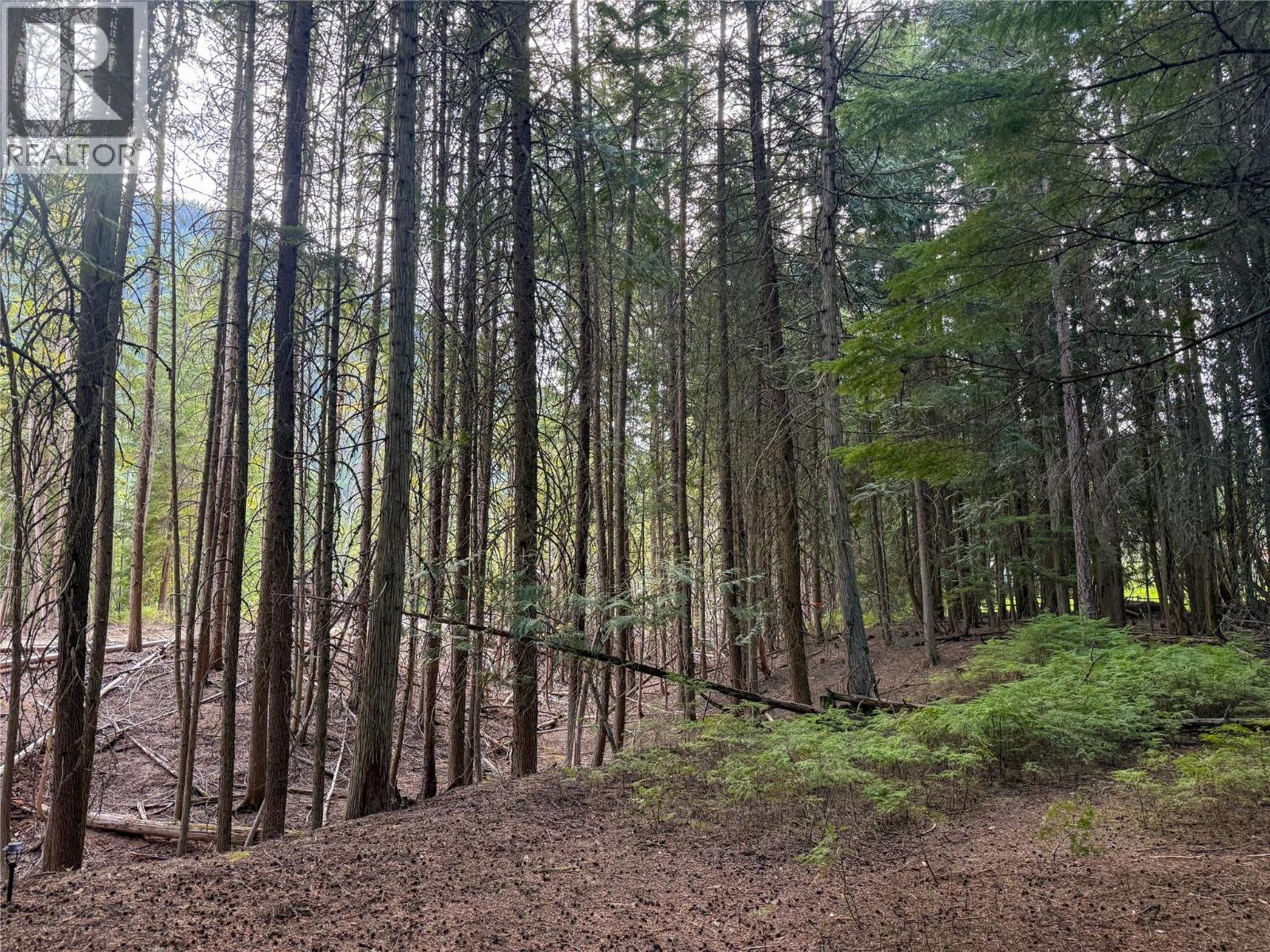 3945 Saunders Road, Passmore, British Columbia  V0G 2J0 - Photo 2 - 10395877