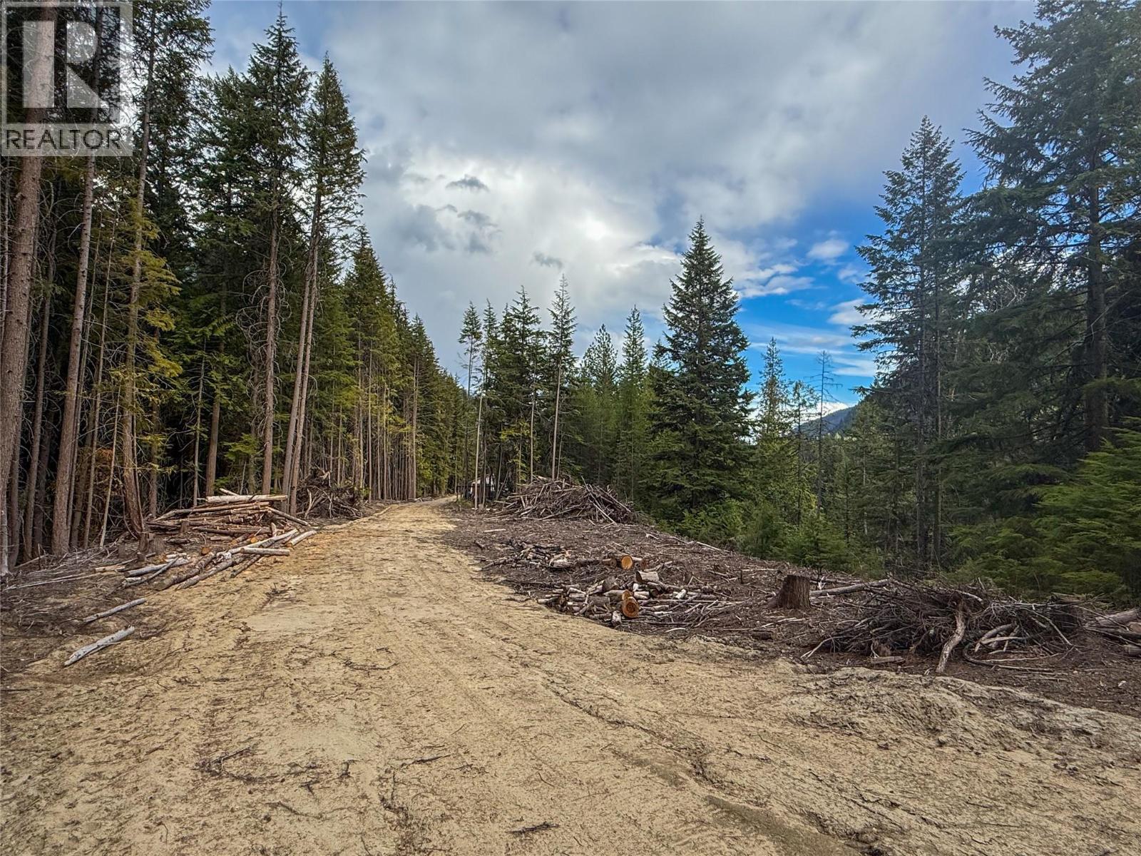 3945 Saunders Road, Passmore, British Columbia  V0G 2J0 - Photo 20 - 10395877