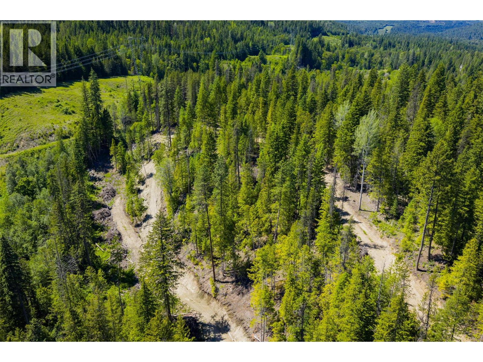 3945 Saunders Road, Passmore, British Columbia  V0G 2J0 - Photo 25 - 10395877