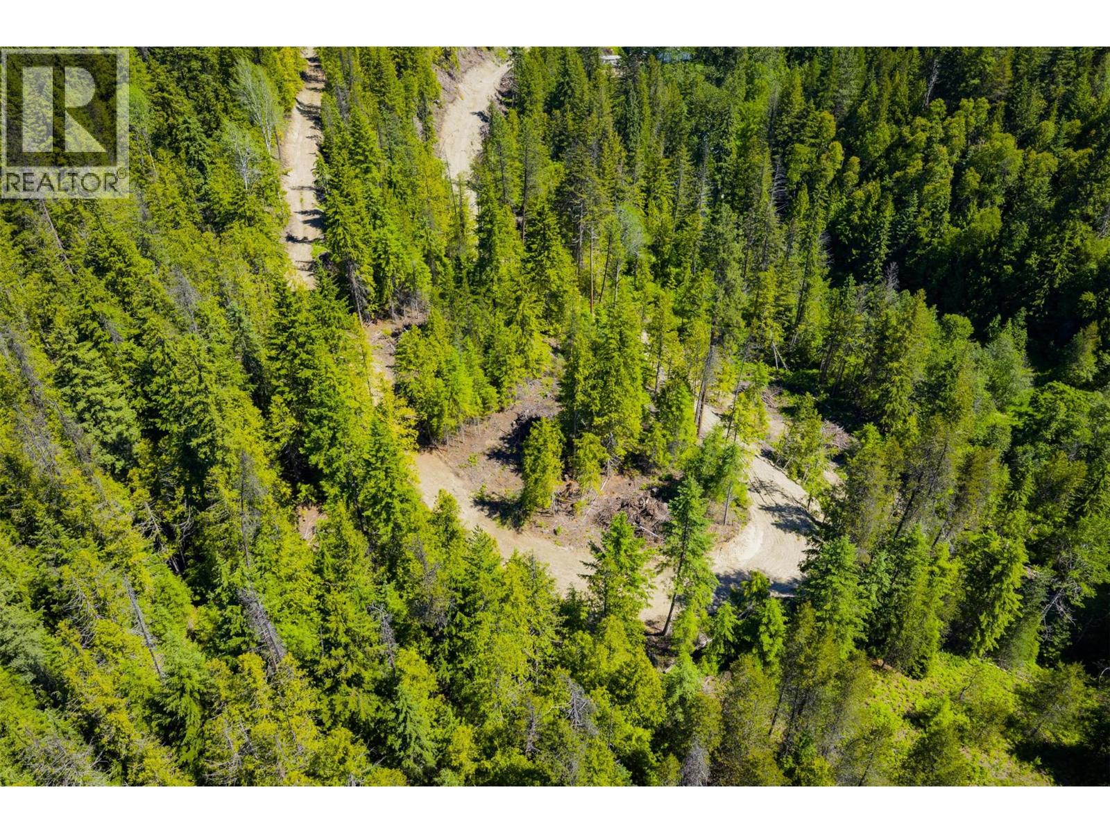 3945 Saunders Road, Passmore, British Columbia  V0G 2J0 - Photo 27 - 10395877