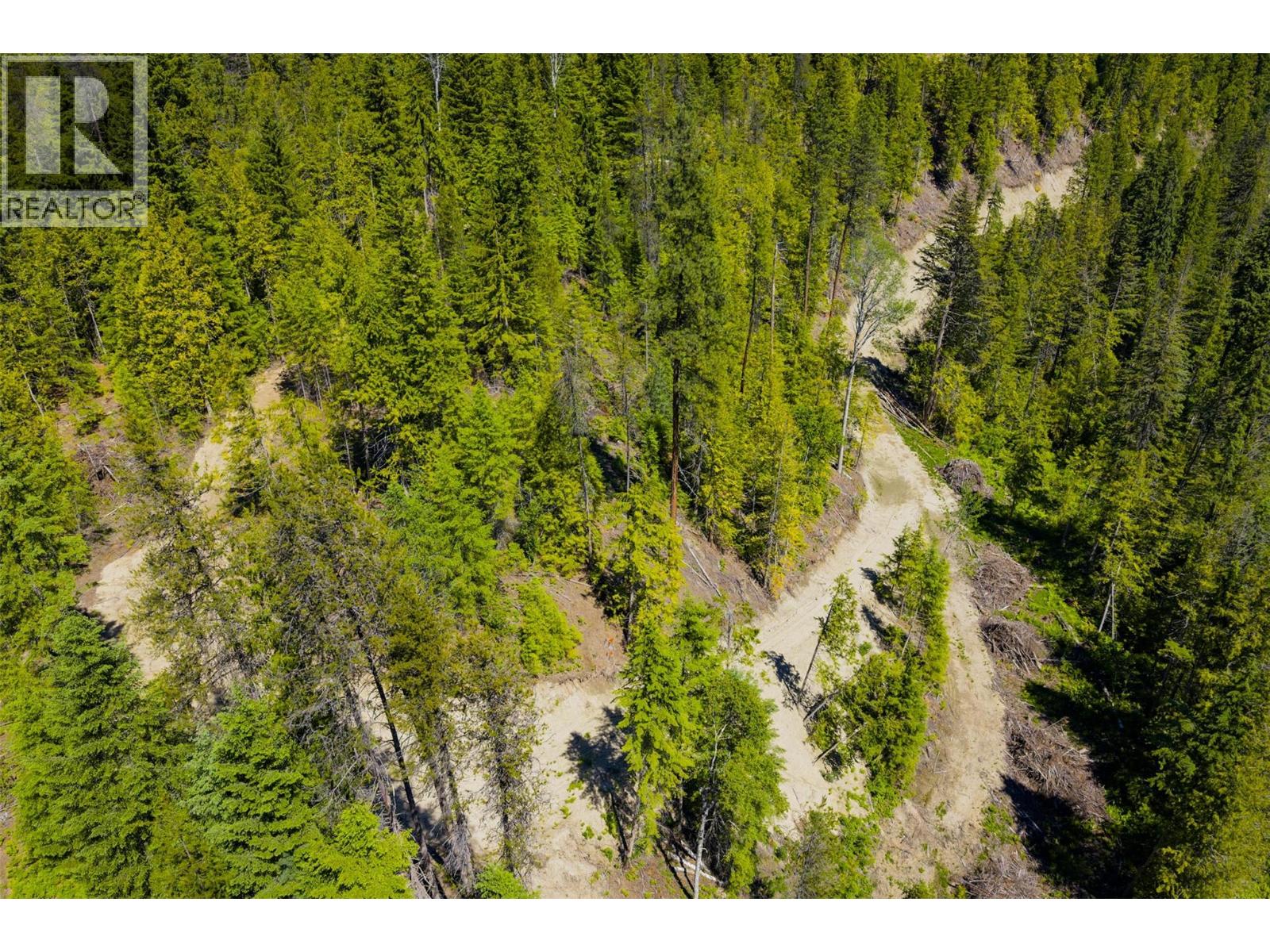 3945 Saunders Road, Passmore, British Columbia  V0G 2J0 - Photo 28 - 10395877